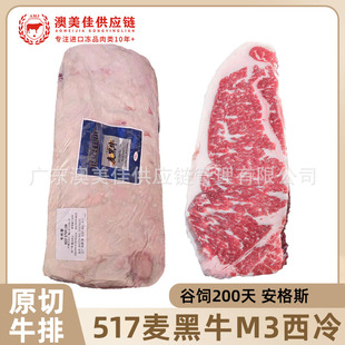 ����517����ţ����˹����ţ�����lM3+ԭ��ѩ��ţ�������l����