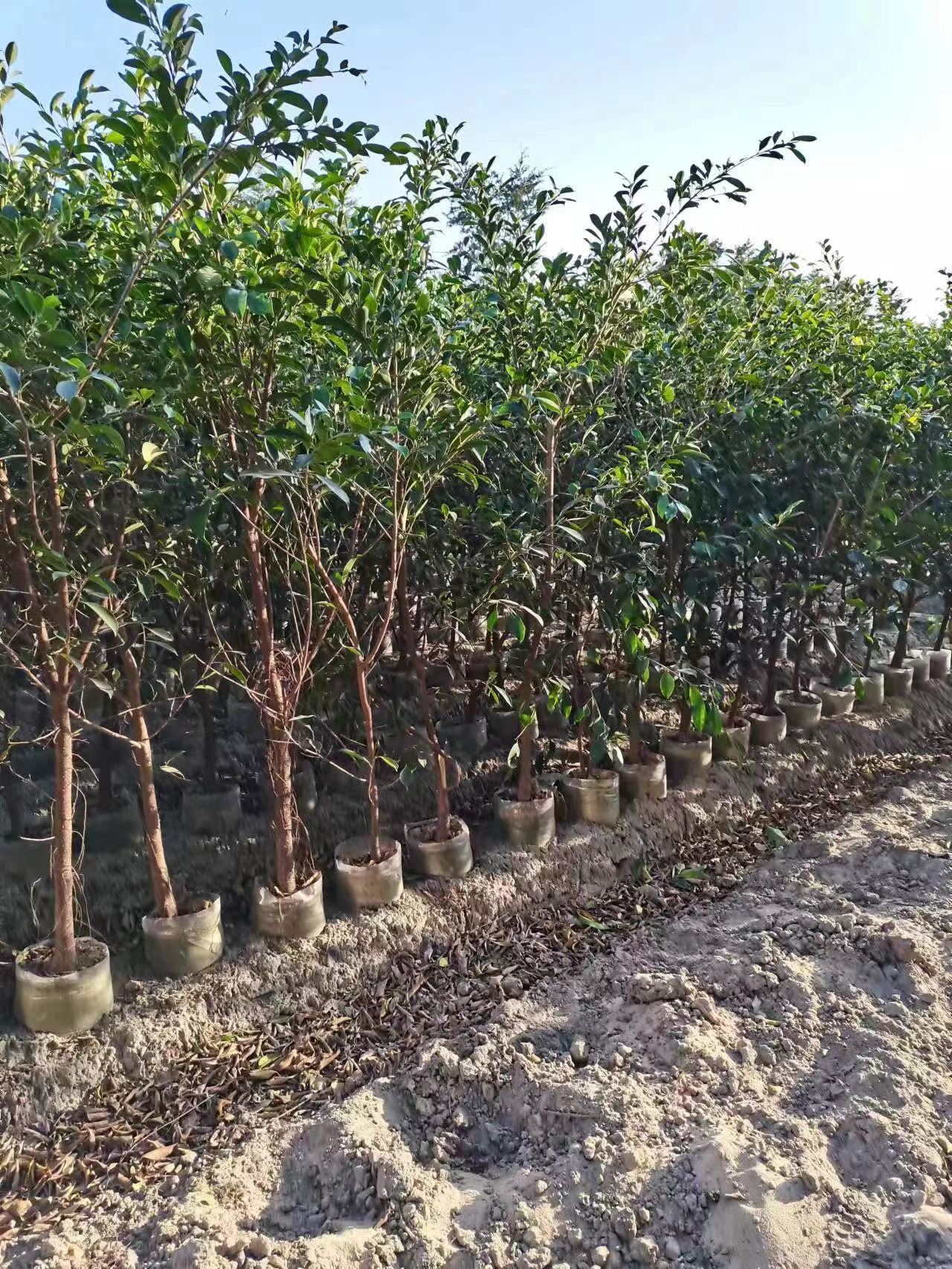 微信图片_20230223203705