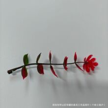 �����ȼ����軨����ֲ�������X�~õ����滨�����҃��b����