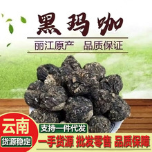 ��Ϭ��� �������� ɢ�b�ڬ����Fĥ����۬������� ������������