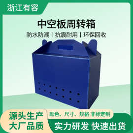 PP塑料周转箱定制 塑料搬家收纳整理箱瓦楞中空板周转盒产品包装