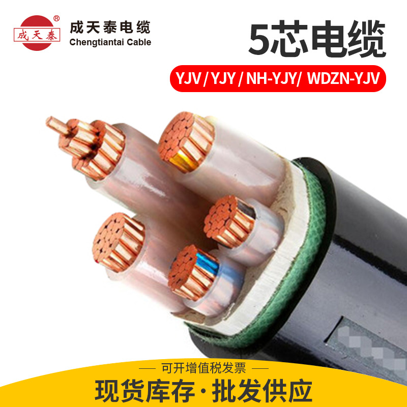 成天泰0.6/1kv 5*16低烟阻燃电力电缆 铜芯户外工程电缆线批发