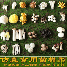 ��Ģ���Nʳ��Ұ�������վ��������^�@ˇ���^�����b[������