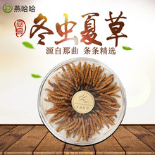 �����������x�Ĳ����l���r�^���ຣ����x��1��4�l�ǃ������B��