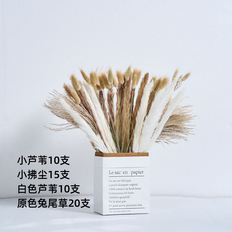 アマゾンはよく売れています。葦の花の花束です。|undefined