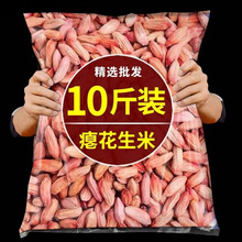 ɽ�|�T����2024���»�������С�������ʸ�����ʳ�T�ӻ���