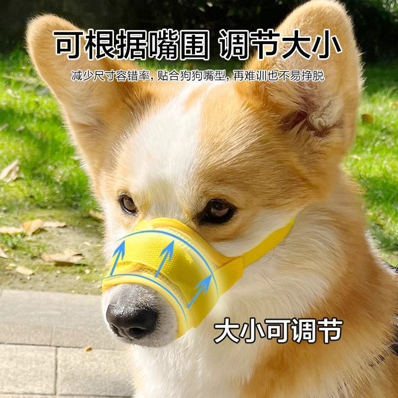 O1CN01Te3AcH2F2zTIz3zLR_!!2217554808823-