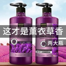 官方正品牌薰衣草沐浴露持久留香72小时洗发水套装男女通用梦米雅