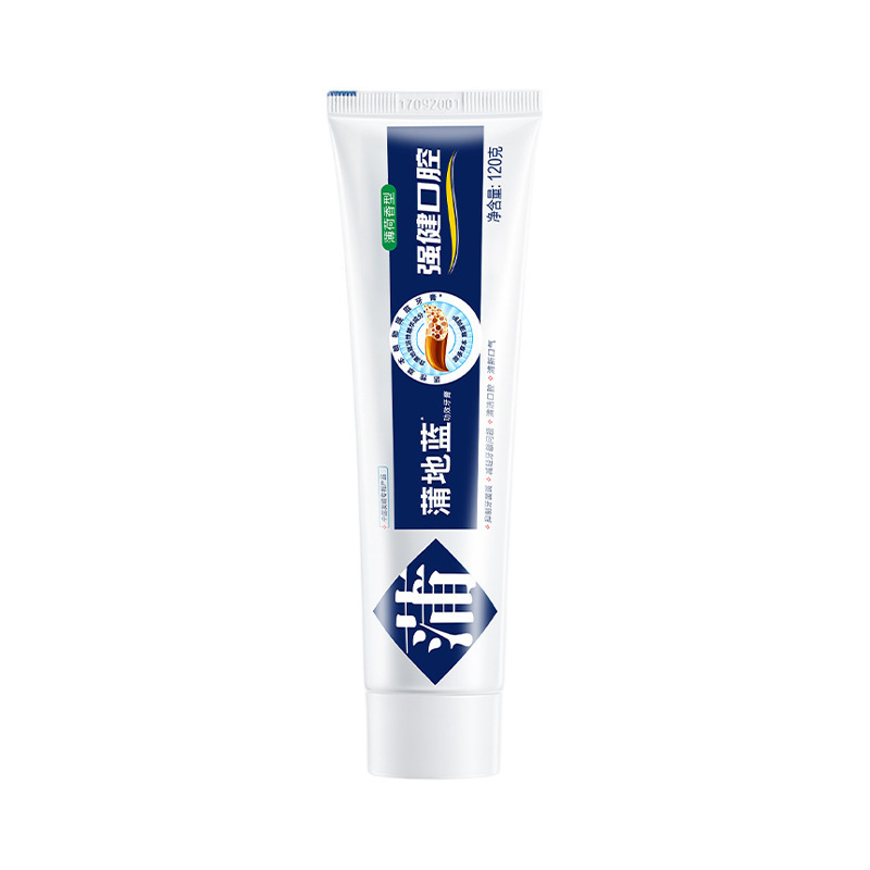 Pudi ブルータイントゥースペースト 強力な口腔 120 グラムミント風味歯肉歯周フレッシュブレスフッ素フリー大人用歯磨き粉|undefined