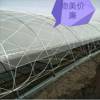 Customized truck Breeding greenhouse Windbreak Discount nylon Fence Greenhouse film pressing net