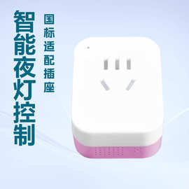 高颜值离线语音智能定时插座AI语音控制10A定时智能插座小夜灯