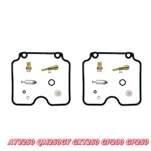 �m��ATV250 QM250GY GXT250 GP200 GP250Ħ��܇�������������S��