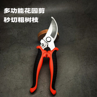 ���P䓘�֦����֦��@ˇ�������@��ˇժ����@�֘�֦���߼���ˇ��