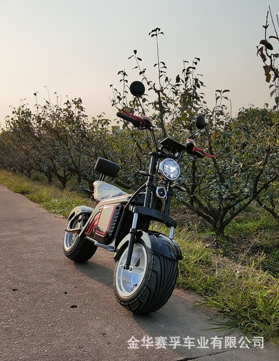 批发外贸出口harley citycoco电动太子哈雷车摩托车滑板车EEC COC