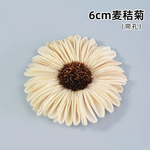 Mai straw chrysanthemum (1 flower)