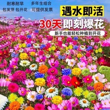 ҰMϷNļ_˹ոɣѰղݻͥԺ׻N