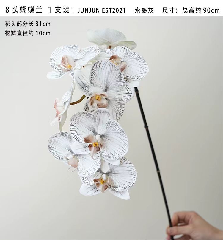 110424  黑色