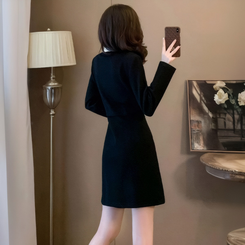 时尚流行刺绣连衣裙女2025秋季新款时髦气质收腰显瘦假两件小黑裙|undefined