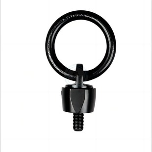 Hoist Rings/Stainless Steel Rings/Amanda