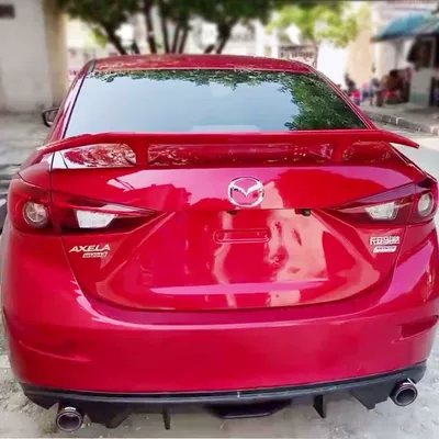 2 Jinxiang Rear Wing Laoma — Fixed wind wing