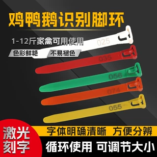 鸡脚环卡扣识别标签记号脚圈可定制数字编号塑料鸡鸭鹅拉链脚环