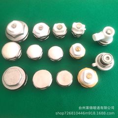 暖房器具部品銅エア抜き弁排気弁黄銅風銅プラグ3分4分6分1寸