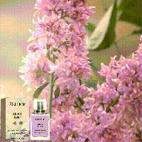 EELHOE Cupid Perfume Natural Fresh Lilac Niche Perfume Portable Long-lasting Fragrance Women's Perfume_voghion.com