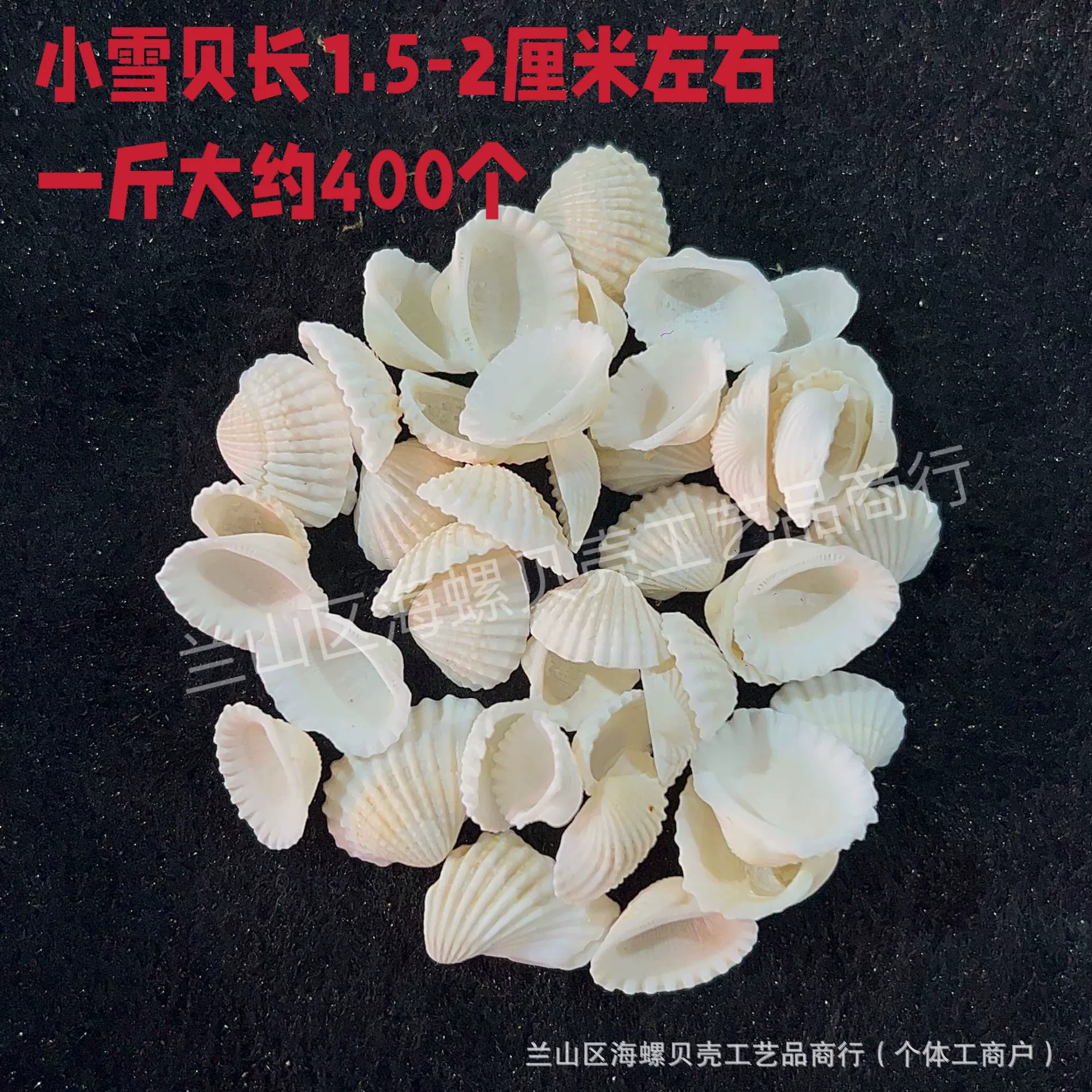 Shell Natural Shell Conch Stars Drifting Bottle Shell Crafts Wholesale Diy Handmade Shell Materials