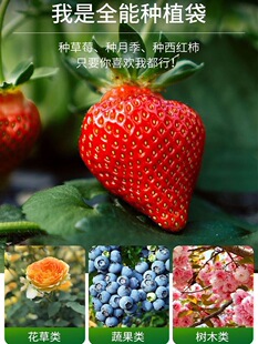 �o�����Nֲ����ֲ��������û����̖�Ӻ����÷N��������N�����