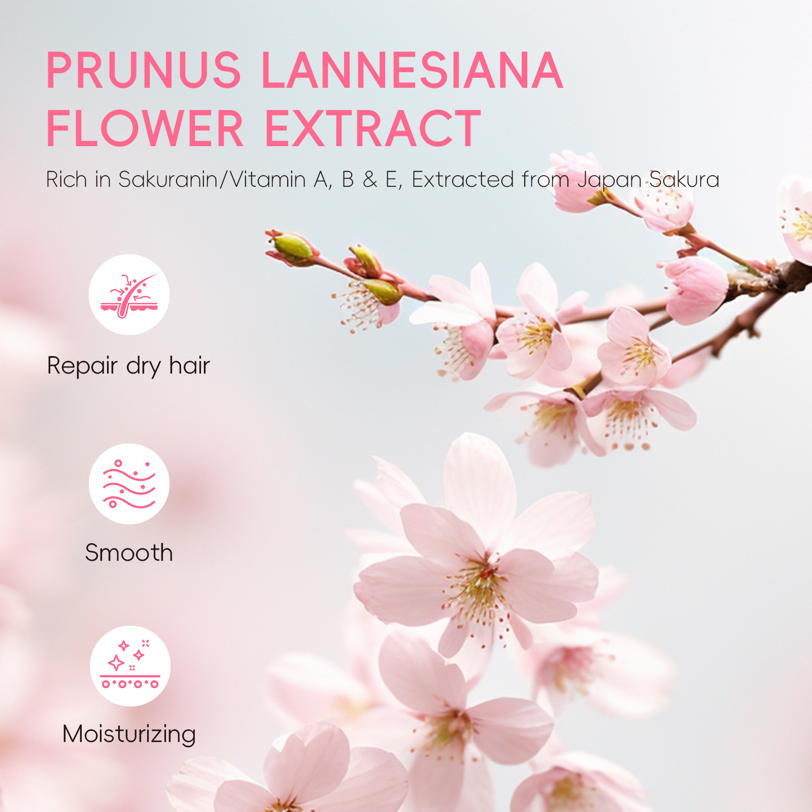 Cross-border LAIKOU Cherry Blossom Conditioner 100ml, Smooth Hair, Moisturize split ends, factory in stock wholesale undefined