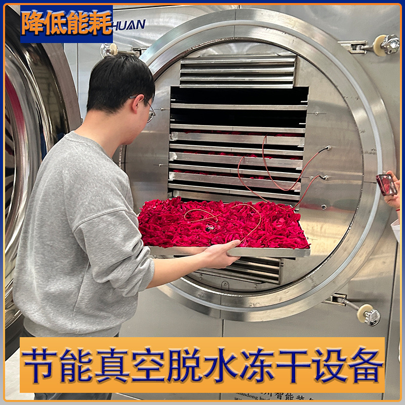 可试机小平方蓝莓冻干机果蔬 真空冻干设备 多用途真空冷冻干燥机|undefined