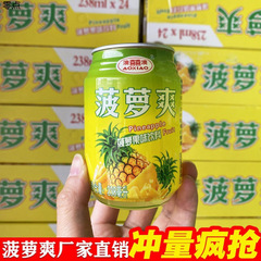 菠萝风味饮料整箱24瓶批发厂家直销罐装过年酒席外卖饮品厂家直销