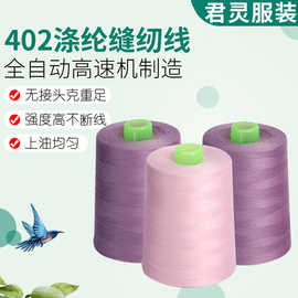 厂家批发6000码402高速涤纶线缝纫机线 拷边缝衣线宝塔形缝纫线