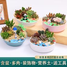 �۴ɶ���ֲ��M�������ײͶ���DIY΢���^��ݗ�京�躬���҃ȾGֲ