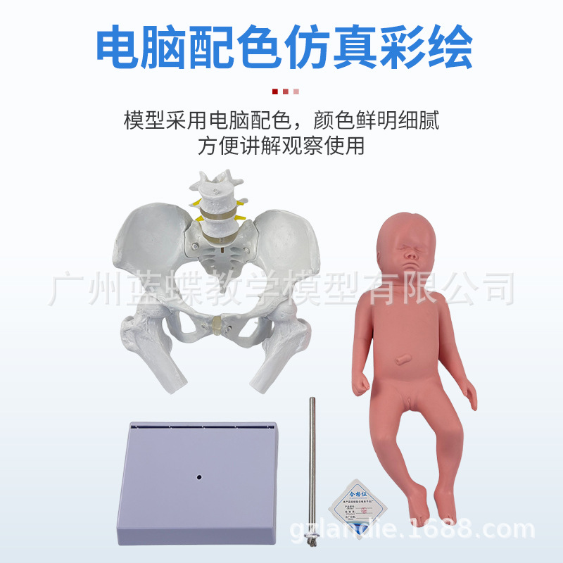 ��������̥����������ʾ��ģ�͸����ƿɻŮ�Թ���������ʾ�̾�