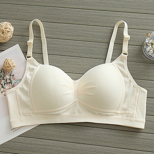 ���ޱ������Ů��W��������������Ů��С�ؾ۔n���´���Ů������