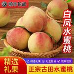古田水蜜桃大甜桃红桃当季现摘脆甜大桃子孕妇新鲜水果礼盒装顺丰