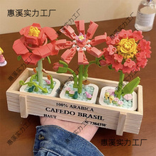 ���öYƷ2024�¿����ջ�����������Ů�̎������ֹ�diy���տ�