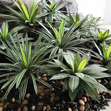 ���W���������m����Gֲ���mǧ�~����Ꭷɳ��ֲ���첼���b[��