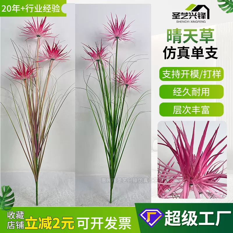 仿真洋葱草晴天草  单支仿真花星星草现代样板房花艺摆件仿真植物