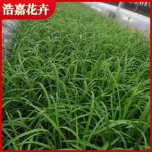 ��������� �������ľ���� ͥԺ�G�����̱������Լt��ʯ�����