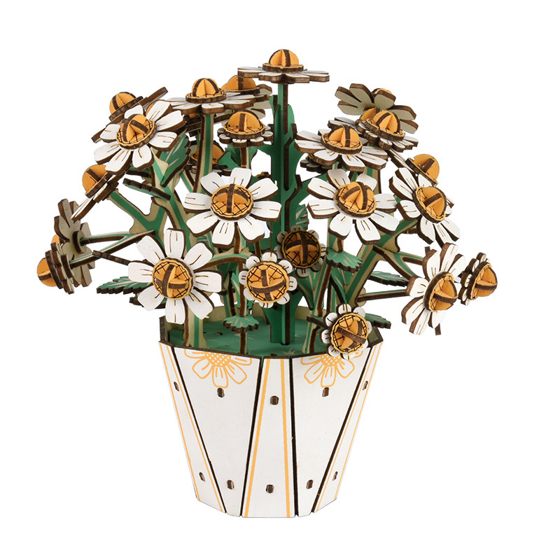 白晶菊XL2.5-1035-白底