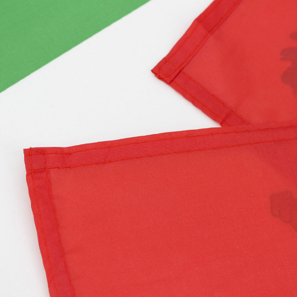 Silk Screen Mexican Flag Polyester Decoration For Parade Party Outdoor World Cup Hanging Colorful Home Garden Flag_voghion.com