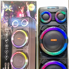 Bluetooth スピーカー DG-W1230. ダブル 12inch 工場直販屋外ワイヤレス スピーカー ライト付き南米インドネシアに輸出
