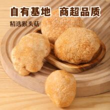 批发古田猴头菇厂家直销菌菇干货食用菌高品质猴头菇现货