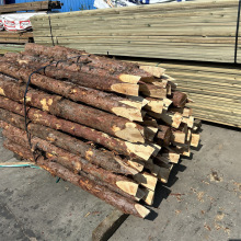 ���~���S���ɴ�ľ����ԭľ�@�֝�ع��@���͇��ژ���L�̿ɶ�