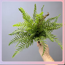 ?ާ~Ųާ˹ֲާ~ާֲ˹~~βާ