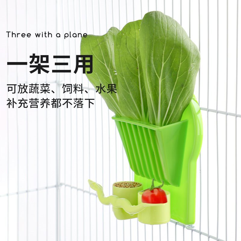 Parrot feeder Peony Xuanfeng Fruit Vegetable Bird Cage Accessories Ruoding Chicken Breeding Products Fruit Frozen Chicken Box Steel 4