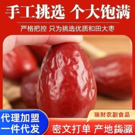 红枣干;其他果干蜜饯;干枣