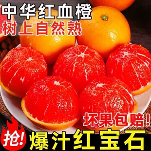 ���A�t��Ѫ��9�����Y��ˮ���t�ĳ����M��Ě�ȼt����]���l���l